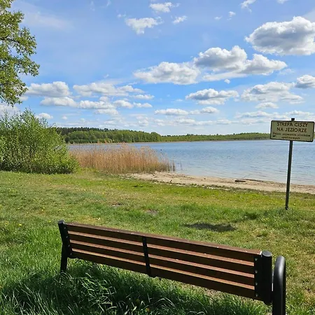 Large House With Private Sauna, Close To The Teerau